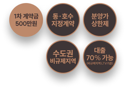 1차 계약금 500만원 · 동·호수 지정계약 · 분양가상한제 · 수도권 비규제지역 · 대출 70% 가능(비규제지역 LTV기준)